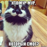 кто мур-мур, который смог?