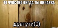 то чувство окгда ты овчарка 