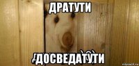 дратути досведатути