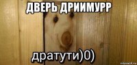 дверь дриимурр 