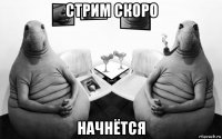 стрим скоро начнётся