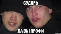 сударь да вы профи