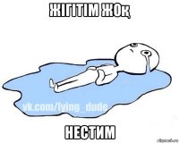 жігітім жоқ нестим