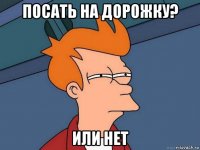 посать на дорожку? или нет