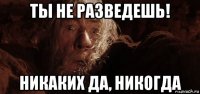 ты не разведешь! никаких да, никогда