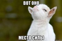 вот оно место силы