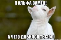 я альфа самец! а чего добился ты?! ))