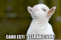  cand esti "sefa aricilor"