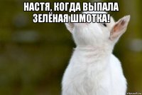 настя, когда выпала зелёная шмотка! 