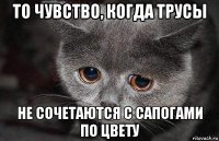 то чувство, когда трусы не сочетаются с сапогами по цвету