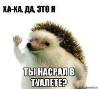  ты насрал в туалете?