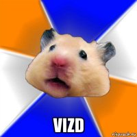  vizd