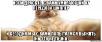 всем драсьте, с вами умирающий от передоза шиппер и сегодня мы с вами попытаемся выжить (но это не точно)