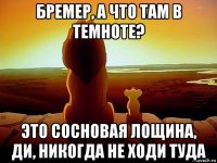 бремер, а что там в темноте? это сосновая лощина, ди, никогда не ходи туда