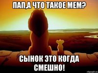 пап,а что такое мем? сынок это когда смешно!