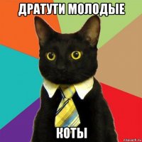 дратути молодые коты