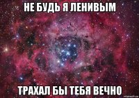 не будь я ленивым трахал бы тебя вечно