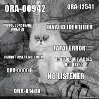 ORA-00942 table or view does not exist invalid identifier ora-01400 cannot insert null into ORA-12541 no listener unique constraint violated ORA-00001 fatal error