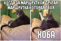 когда за маршруткой другая маршрутка которая твоя 