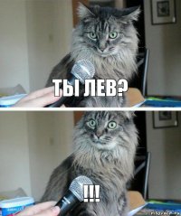 ты лев? !!!