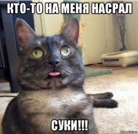 кто-то на меня насрал суки!!!