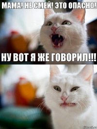 мама! не смей! это опасно! ну вот я же говорил!!!