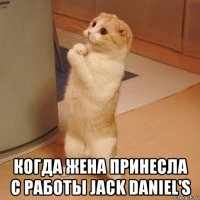  когда жена принесла с работы jack daniel's