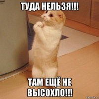 туда нельзя!!! там ещё не высохло!!!