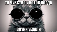 то чувство у котов когда внуки уехали