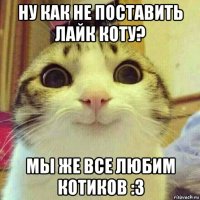 ну как не поставить лайк коту? мы же все любим котиков :3