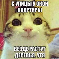 с улицы у окон квартиры везде растут деревья. утя