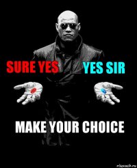 sure yes yes sir make your choice