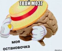 твой мозг 