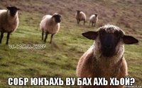  собр юкъахь ву бах ахь хьой?