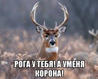  рога у тебя! а уменя корона!