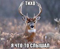 тихо я что-то слышал