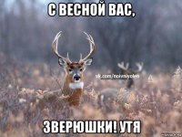 с весной вас, зверюшки! утя