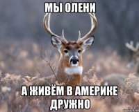 мы олени а живём в америке дружно