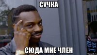 сучка сюда мне член