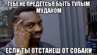 тебе не предётсья быть тупым мудаком если ты отстанеш от собаки