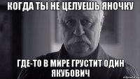 когда ты не целуешь яночку где-то в мире грустит один якубович