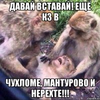 давай вставай! ещё кз в чухломе, мантурово и нерехте!!!