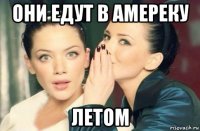 они едут в амереку летом