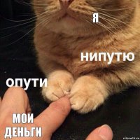 Я мои деньги