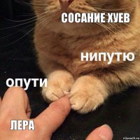 сосание хуев лера