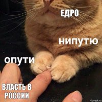 Едро Власть в России