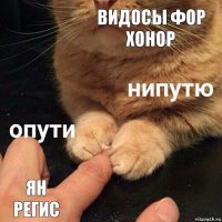 видосы фор хонор ян регис