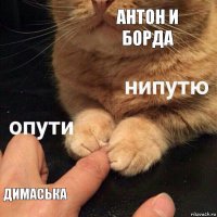 антон и борда димаська