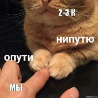 2-3 к мы