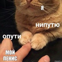 я мой пенис